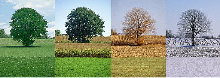 XGP五月下旬新增游戏阵容 《地狱之刃2》《堕落之主》等